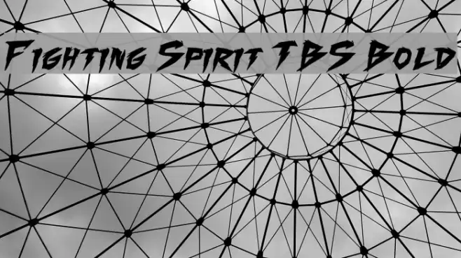 Fighting Spirit TBS Bold Font examples