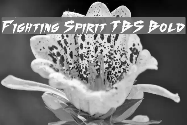 Fighting Spirit TBS Bold Font examples