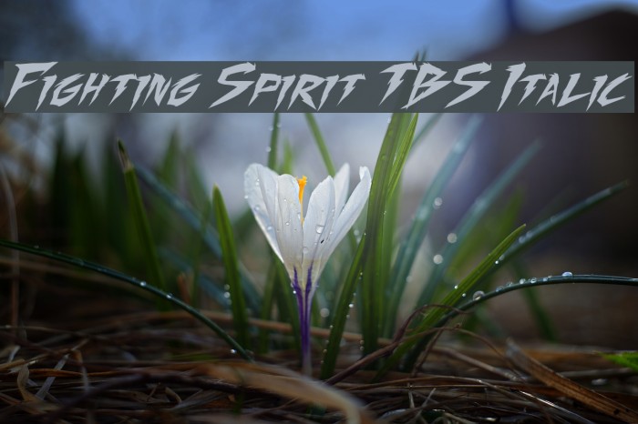Fighting Spirit TBS Italic Font examples