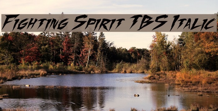 Fighting Spirit TBS Italic Font examples