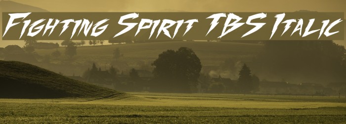 Fighting Spirit TBS Italic Font examples
