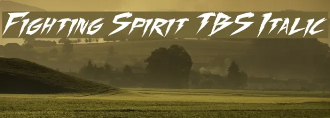 Fighting Spirit TBS Italic Example 3