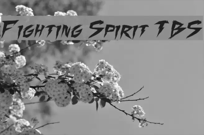 Fighting Spirit TBS Font examples