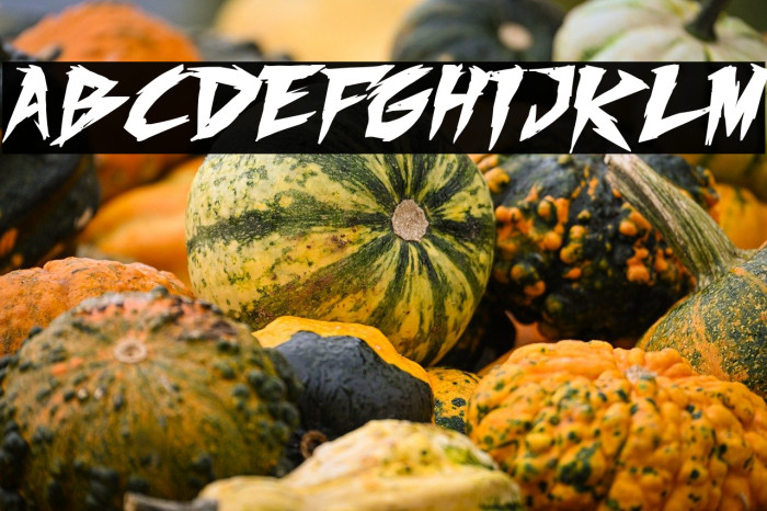 Fighting Spirit turbo Bold Italic Example 1