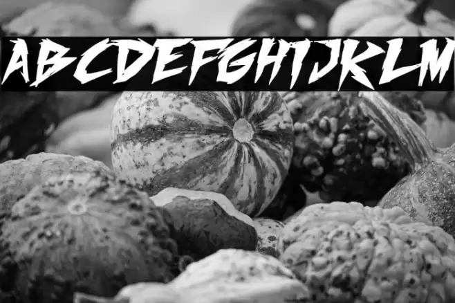 Fighting Spirit turbo Bold Italic Caratteri examples