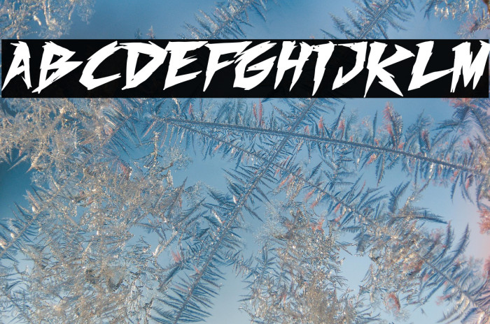 Fighting Spirit turbo Bold Italic Example 2