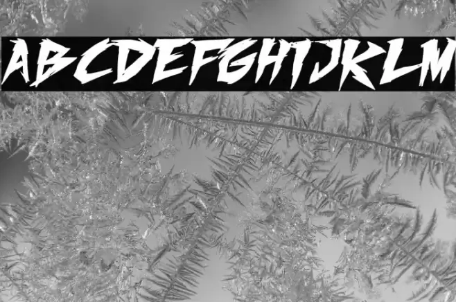 Fighting Spirit turbo Bold Italic Caratteri examples