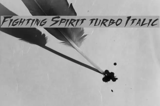 Fighting Spirit turbo Italic Font examples