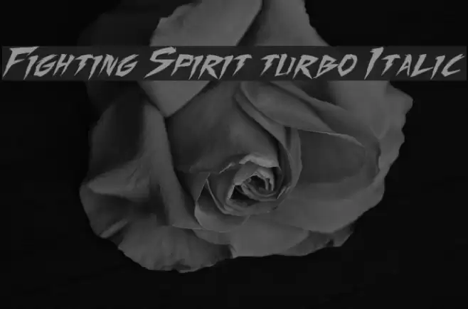 Fighting Spirit turbo Italic Font examples