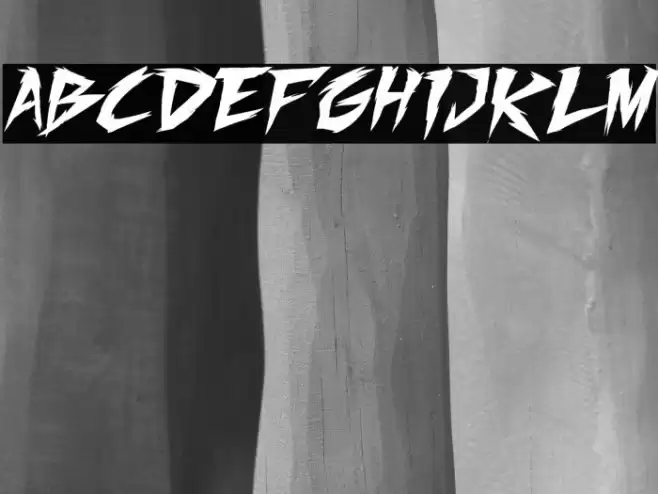 Fighting Spirit turbo Caratteri examples