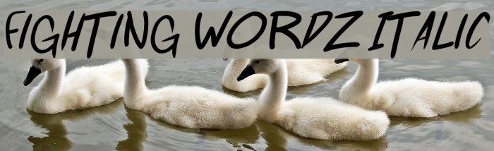 Fighting wordz Italic Font examples