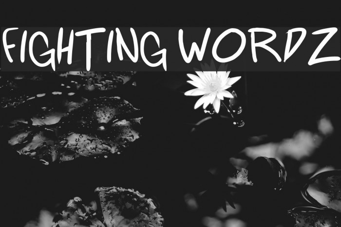 Fighting wordz Font examples