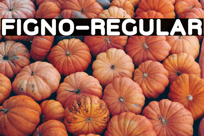 Figno-Regular Example 2