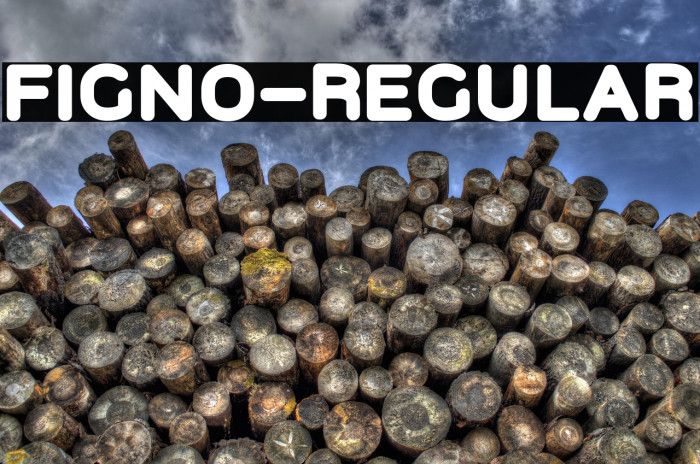 Figno-Regular Example 3