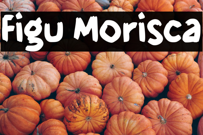 Figu Morisca Example 1