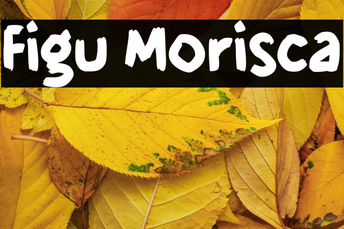 Figu Morisca Example 2