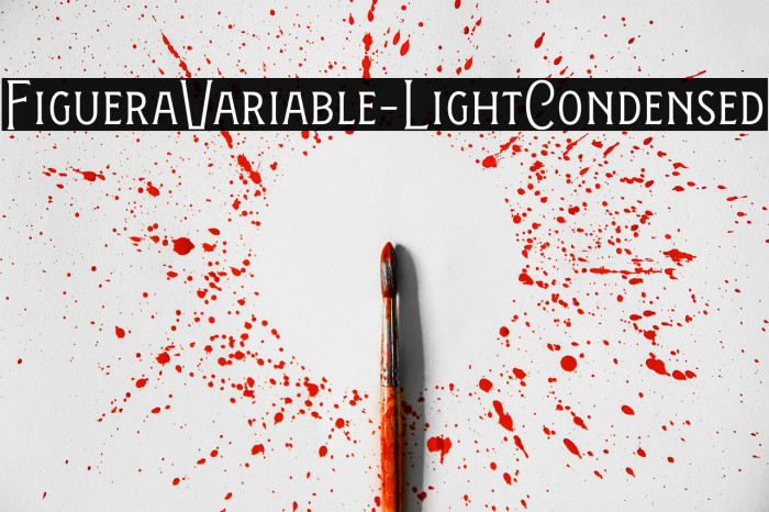 FigueraVariable-LightCondensed Example 3