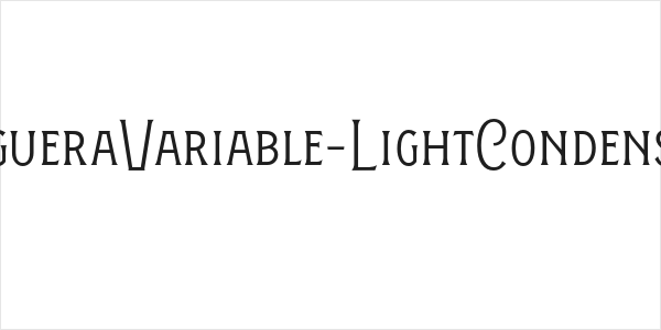 FigueraVariable-LightCondensed Logo