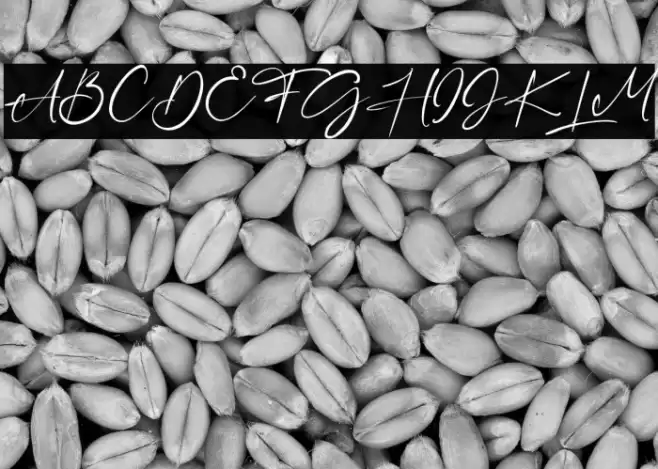 Figure Font examples