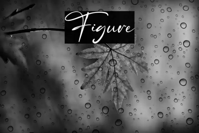 Figure Font examples