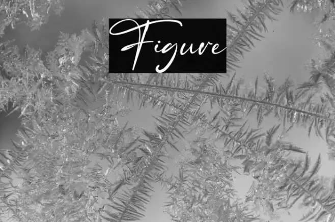 Figure Font examples