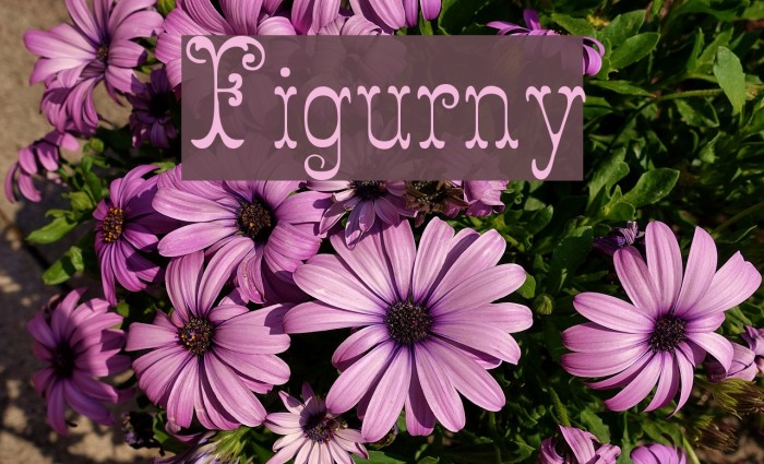Figurny Font examples