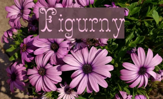 Figurny Example 1