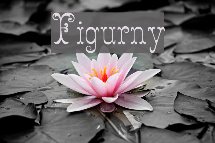 Figurny Font examples