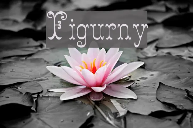 Figurny Example 2