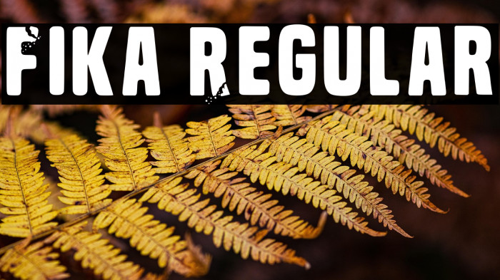 Fika Regular Example 3