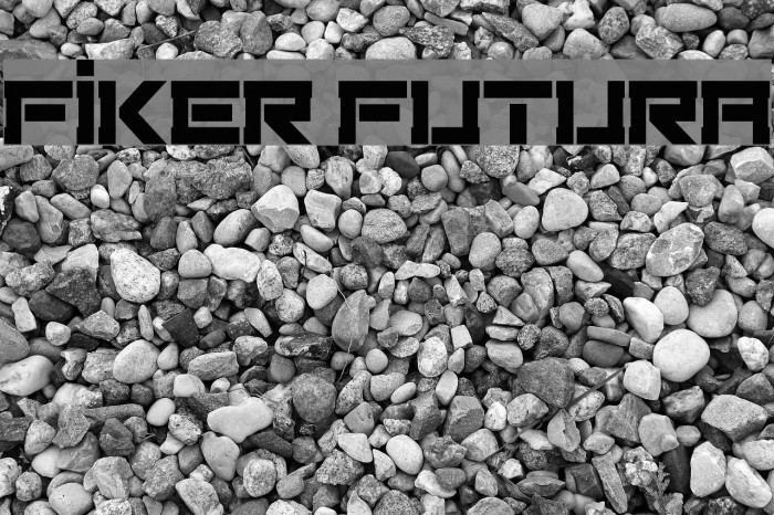 Fiker Futura Example 1