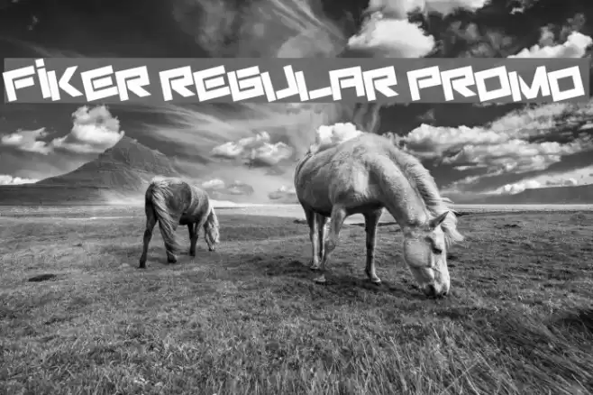 Fiker regular promo Font examples
