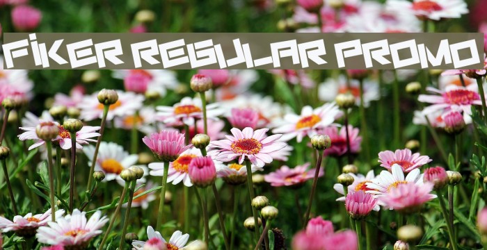 Fiker regular promo フォント examples