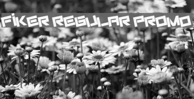 Fiker regular promo Font examples