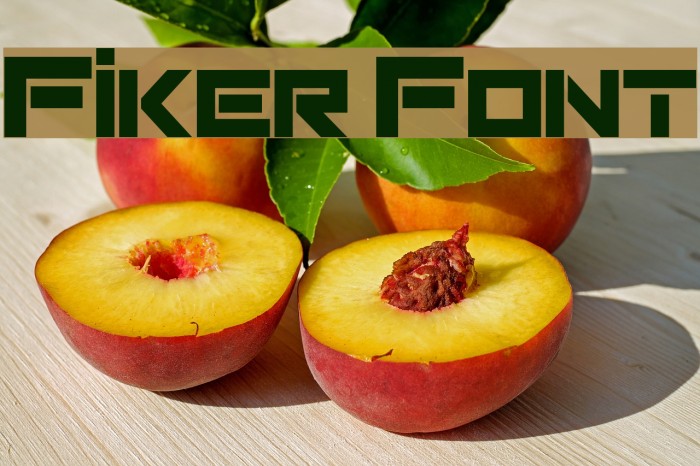 Fiker Font examples