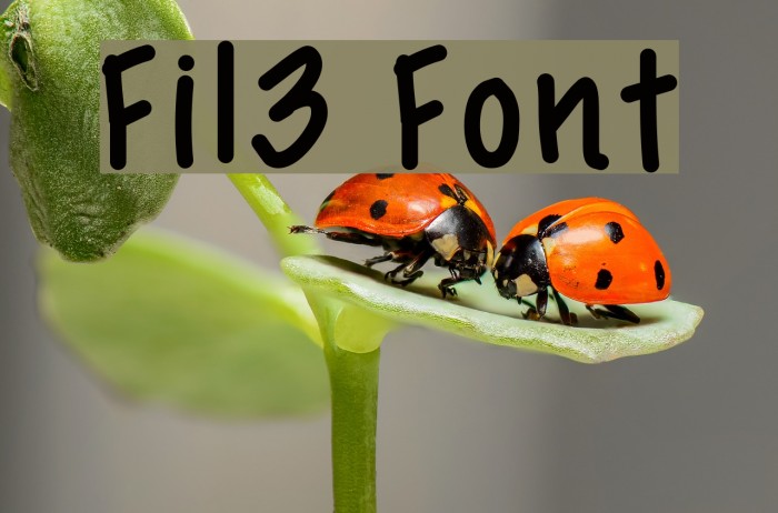 Fil3 Font examples