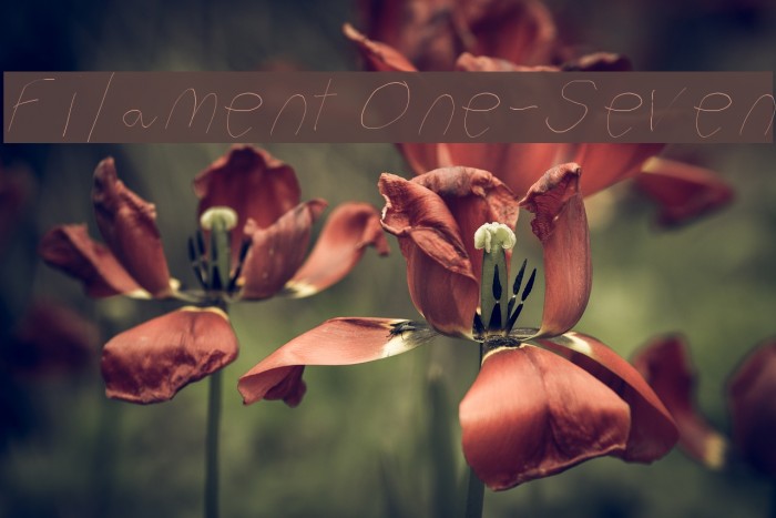 Filament One-Seven Font examples
