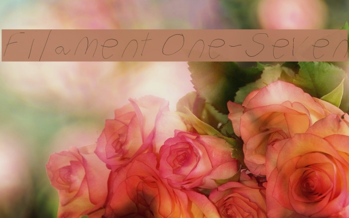Filament One-Seven Font examples