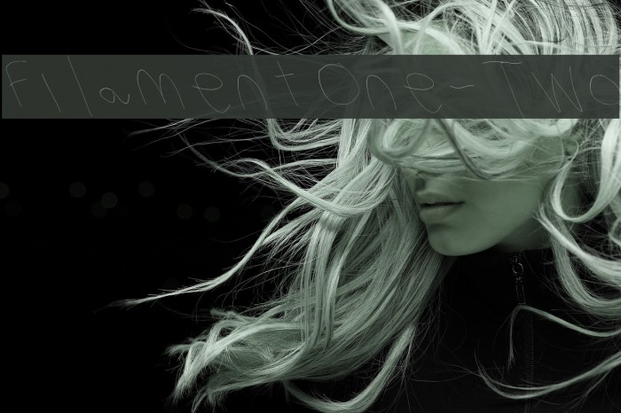 Filament One-Two Font examples