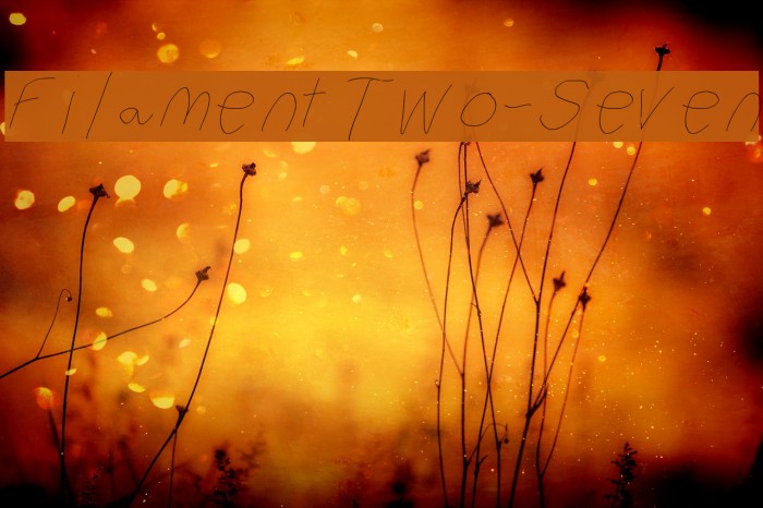 Filament Two-Seven Font examples