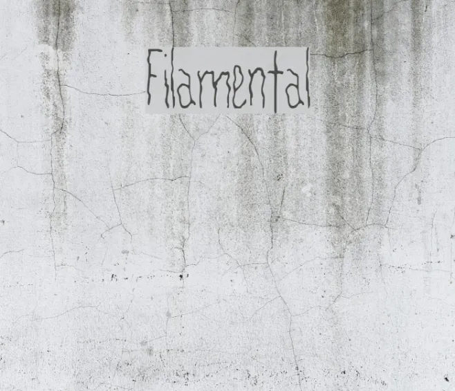 Filamental Example 1