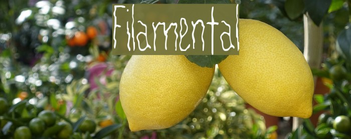 Filamental Font examples