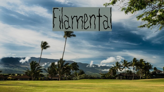 Filamental Font examples