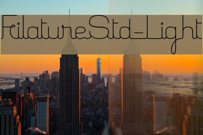 FilatureStd-Light Example 1