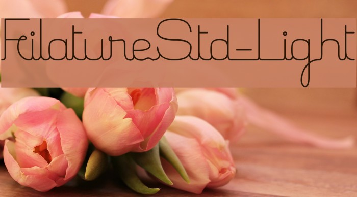 FilatureStd-Light Example 2