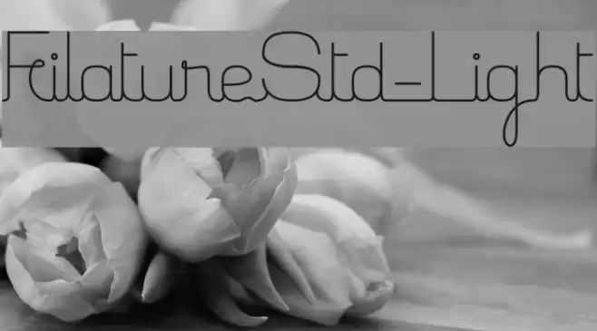 FilatureStd-Light Font examples