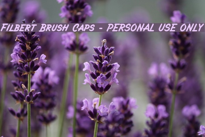 Filbert Brush Caps - PERSONAL USE ONLY Font examples