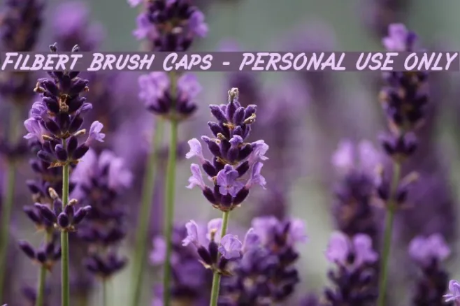 Filbert Brush Caps - PERSONAL USE ONLY Example 1