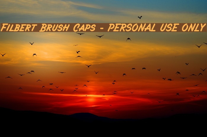 Filbert Brush Caps - PERSONAL USE ONLY Font examples