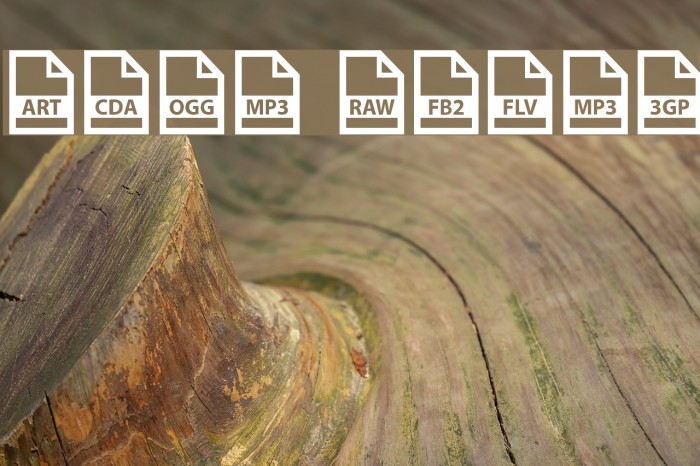 File Types Font examples